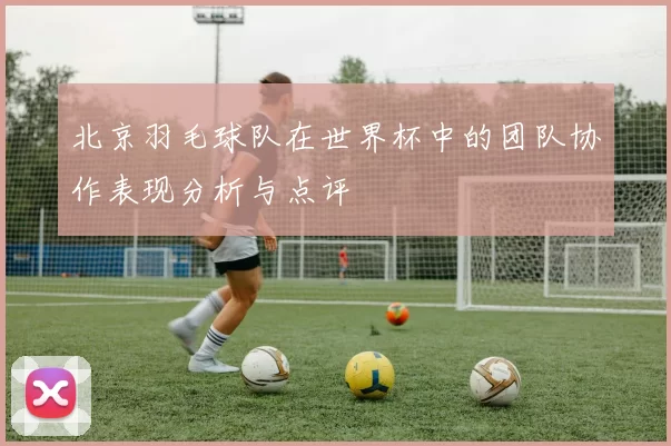 北京羽毛球队在世界杯中的团队协作表现分析与点评