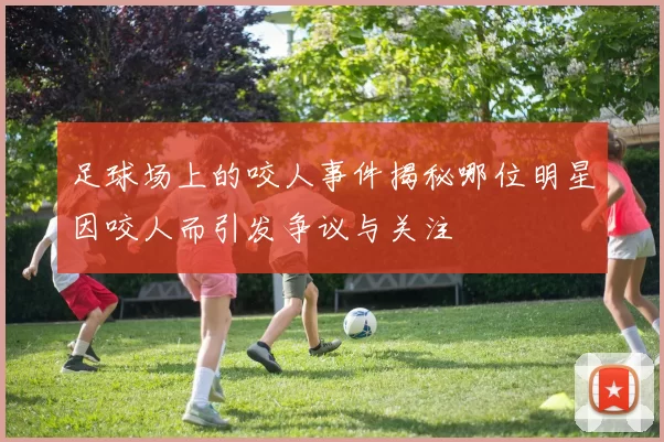 足球场上的咬人事件揭秘哪位明星因咬人而引发争议与关注