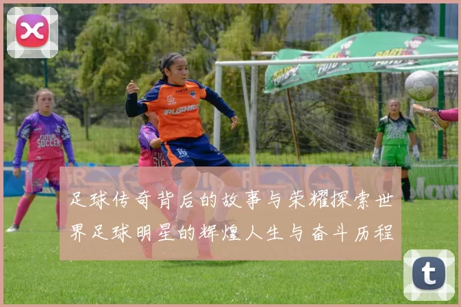 足球传奇背后的故事与荣耀探索世界足球明星的辉煌人生与奋斗历程