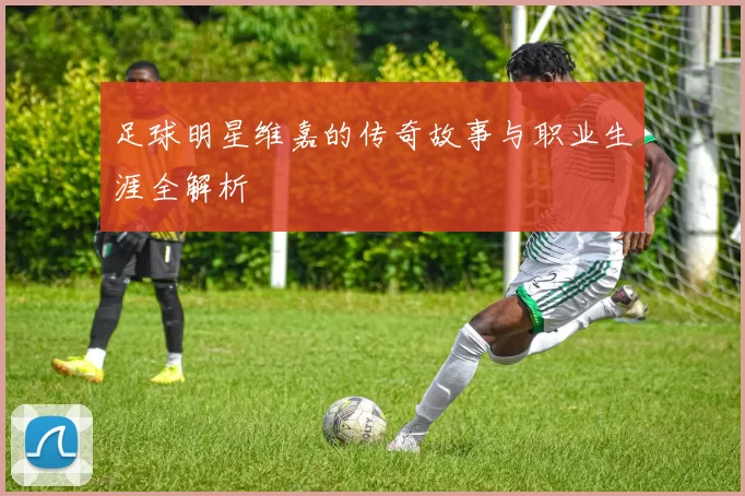足球明星维嘉的传奇故事与职业生涯全解析