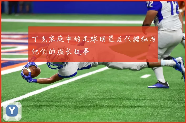 丁克家庭中的足球明星后代揭秘与他们的成长故事