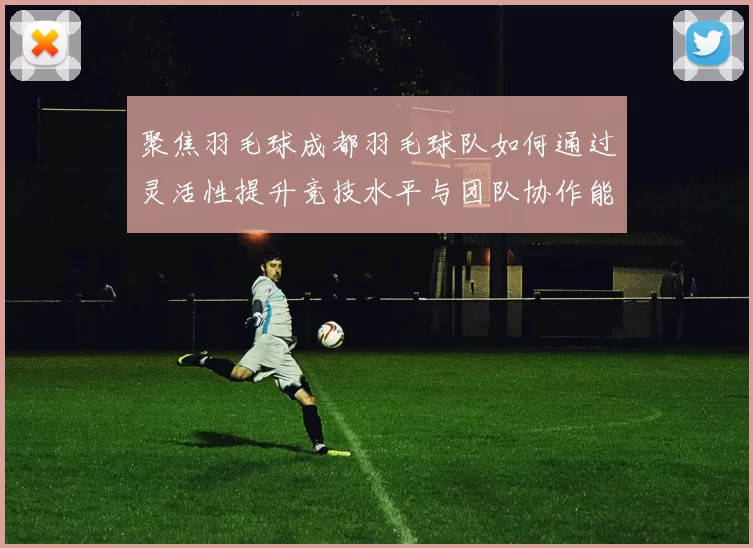 聚焦羽毛球成都羽毛球队如何通过灵活性提升竞技水平与团队协作能力