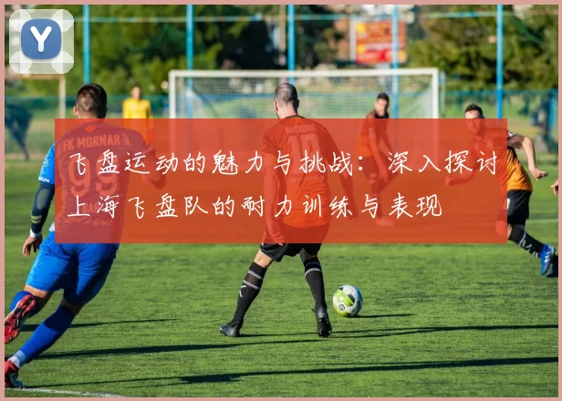 飞盘运动的魅力与挑战：深入探讨上海飞盘队的耐力训练与表现