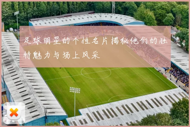 足球明星的个性名片揭秘他们的独特魅力与场上风采