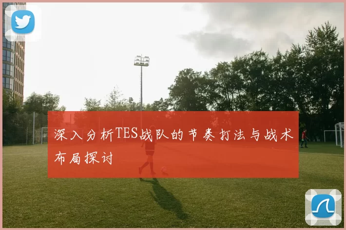 深入分析TES战队的节奏打法与战术布局探讨