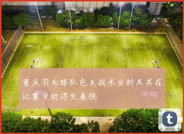 重庆羽毛球队包夹战术分析及其在比赛中的得失表现