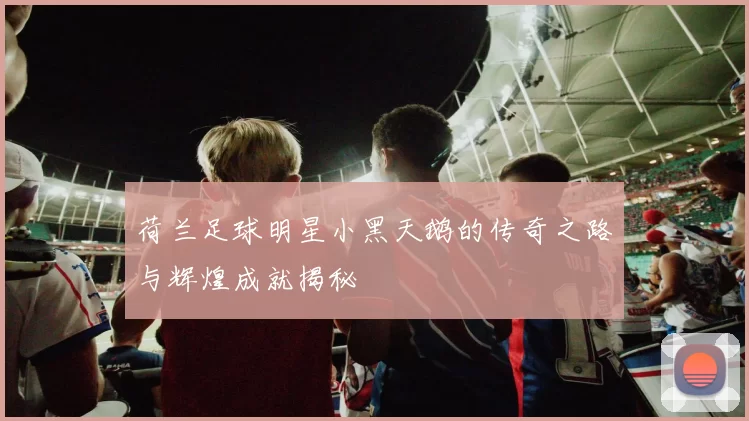 荷兰足球明星小黑天鹅的传奇之路与辉煌成就揭秘