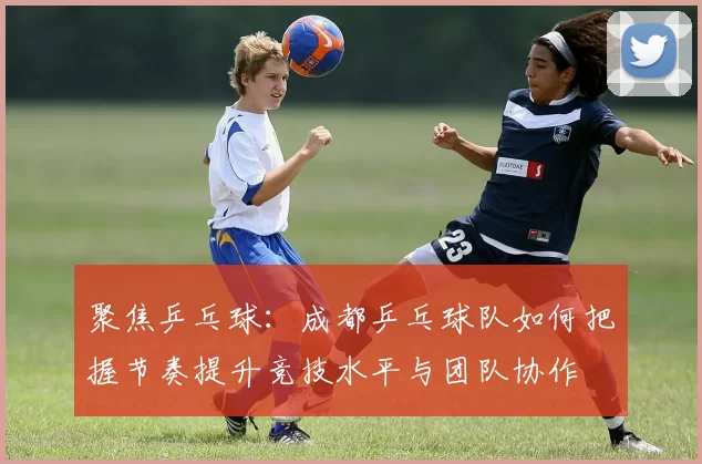 聚焦乒乓球：成都乒乓球队如何把握节奏提升竞技水平与团队协作