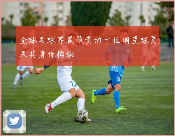 全球足球界最昂贵的十位明星球员及其身价揭秘