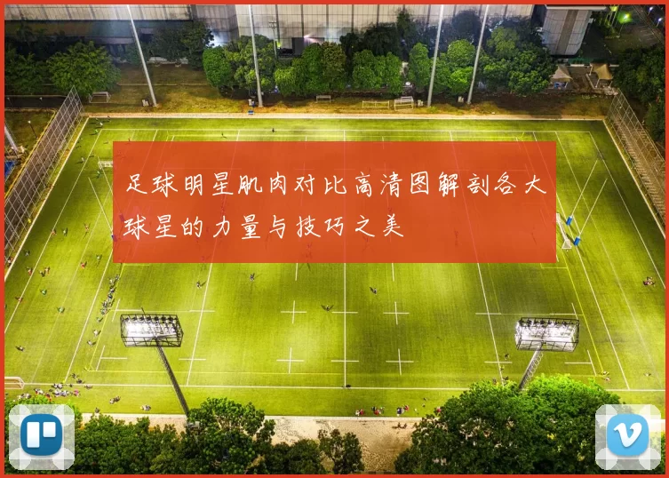 足球明星肌肉对比高清图解剖各大球星的力量与技巧之美
