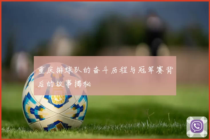 重庆排球队的奋斗历程与冠军赛背后的故事揭秘