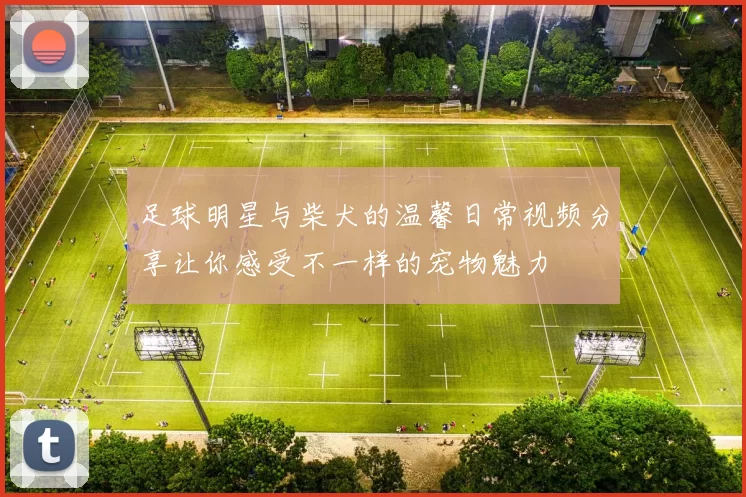 足球明星与柴犬的温馨日常视频分享让你感受不一样的宠物魅力