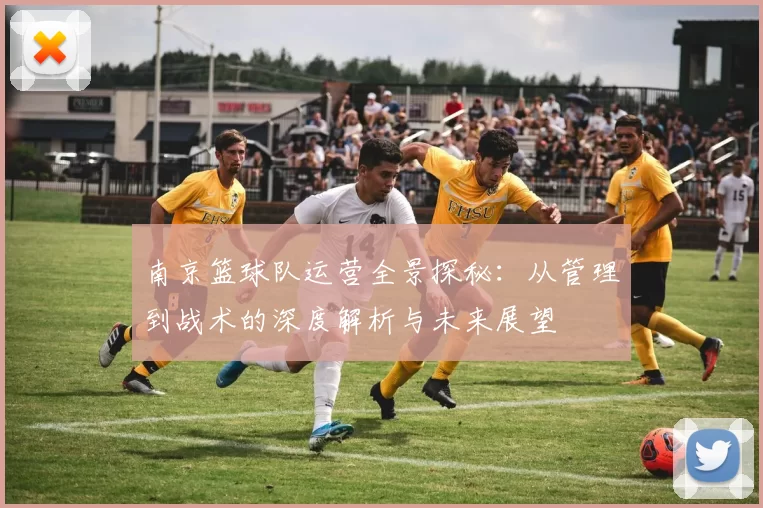 南京篮球队运营全景探秘：从管理到战术的深度解析与未来展望