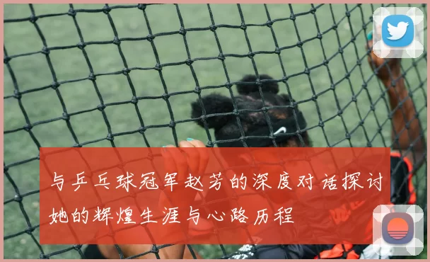 与乒乓球冠军赵芳的深度对话探讨她的辉煌生涯与心路历程
