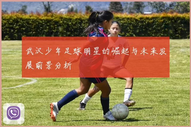 武汉少年足球明星的崛起与未来发展前景分析